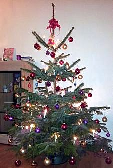 Tannenbaum